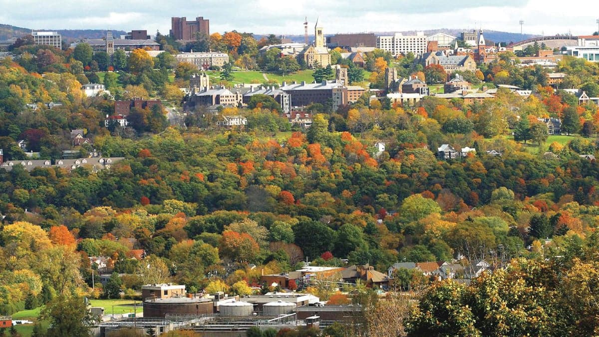 Living and practicing medicine in Ithaca, NY
