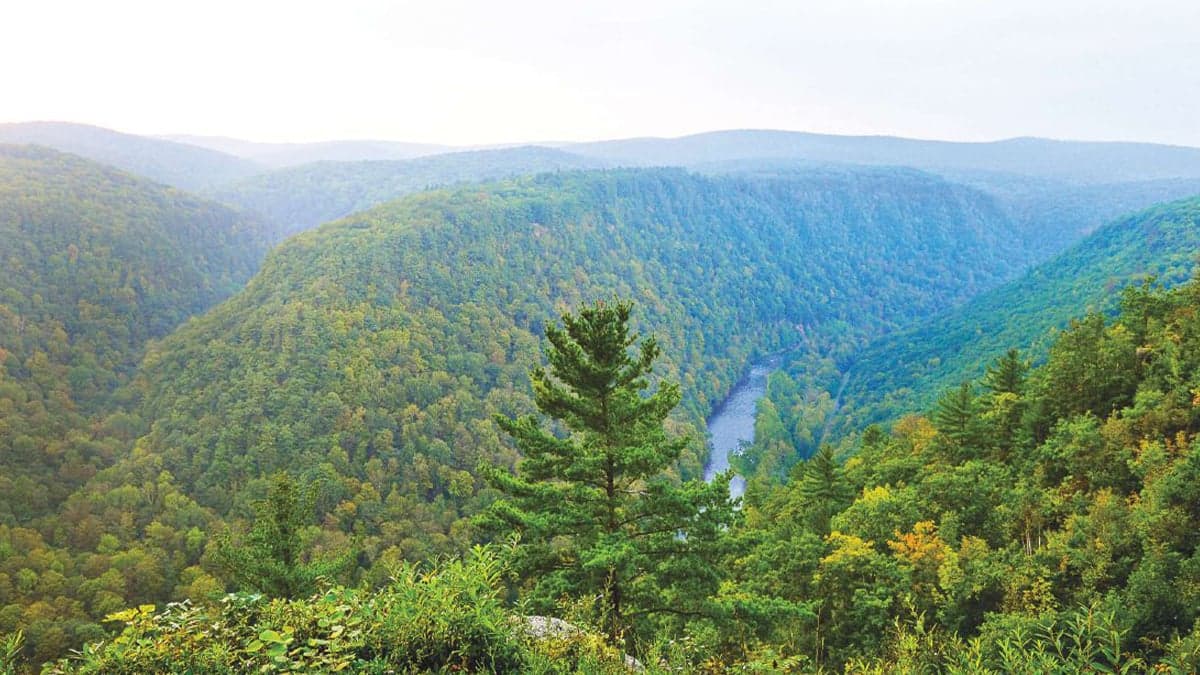 Rural areas for physicians to live & practice