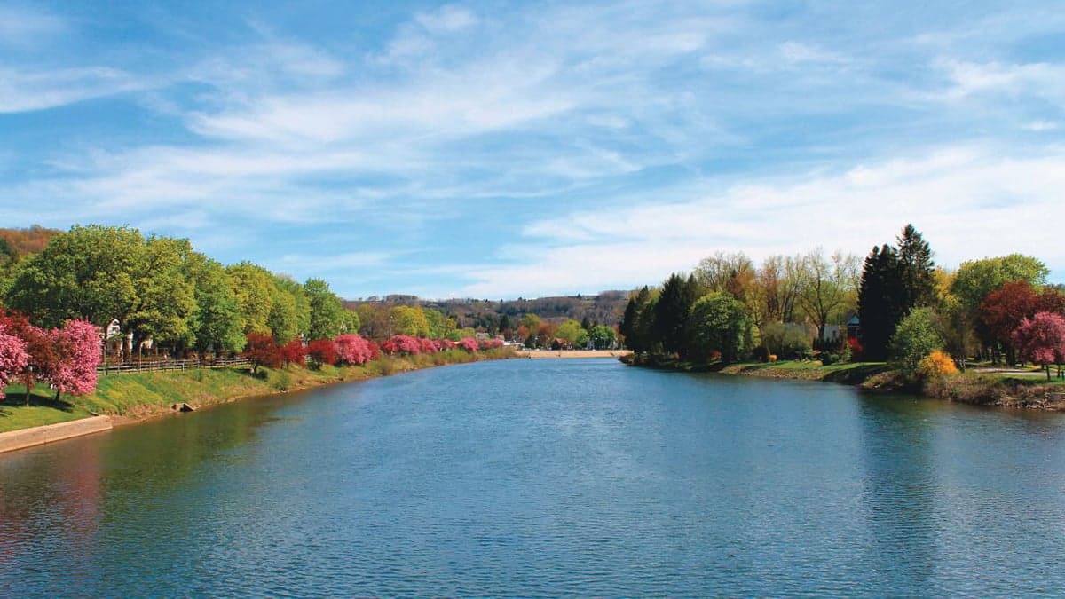 A glimpse into physician life in Clearfield, PA.