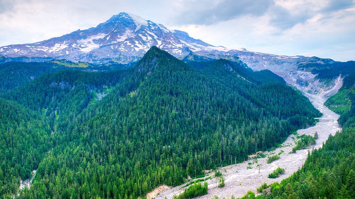 Cities for nature lovers for physicians to consider