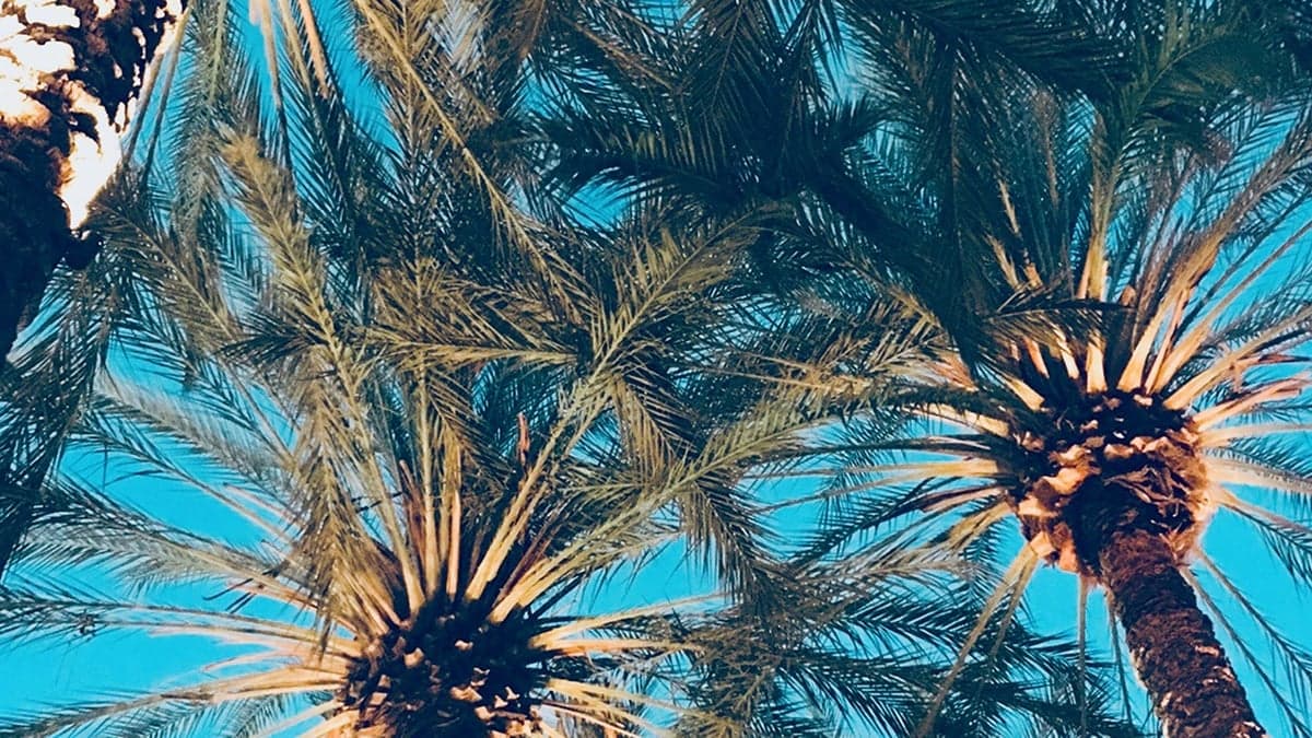 Live and practice: top sports towns to consider