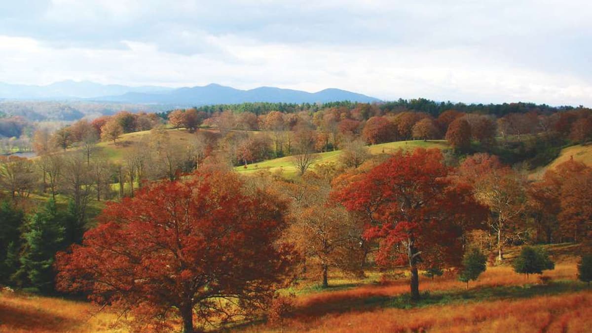 Top cities for outdoorsy physicians