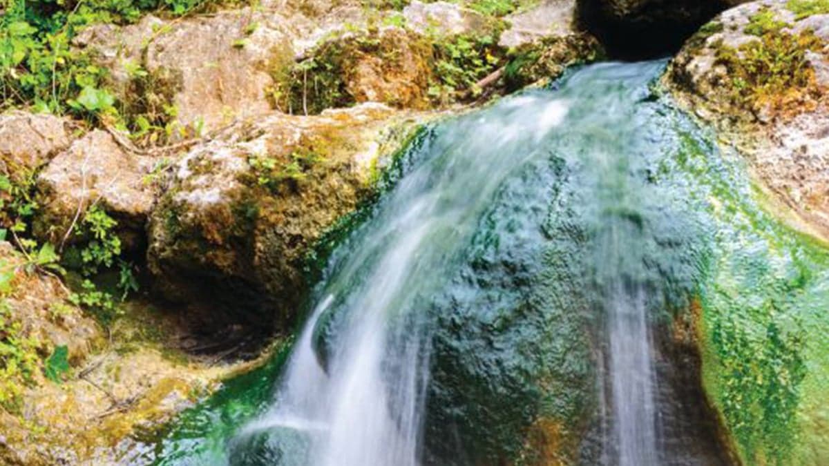 Practicing medicine in rural areas