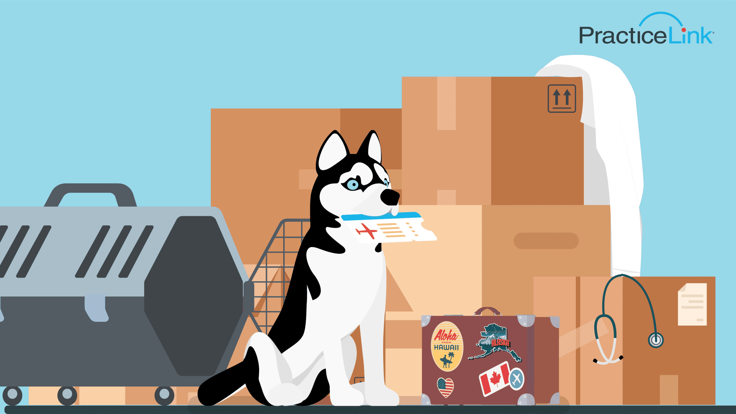 A physician's moving boxes and pet preparing for relocation.