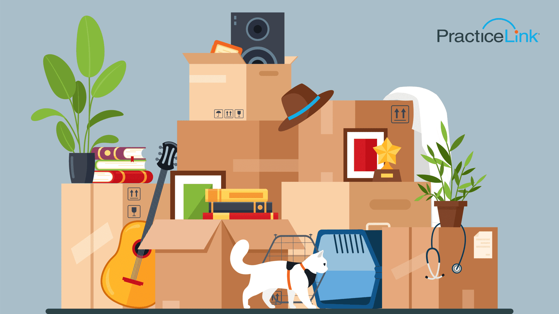 A doctor's pet and moving boxes while they relocate for a physician position with a pet.